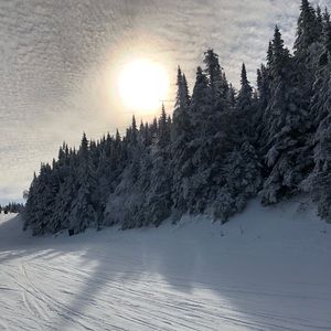 Meet your Posher, Kam